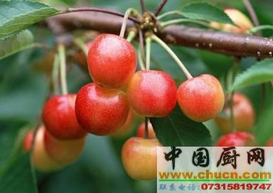 ӣ�ҵ�ʳ������