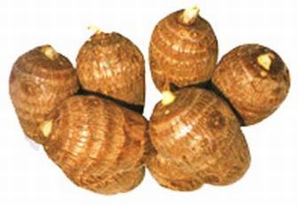 ʮ�³�����