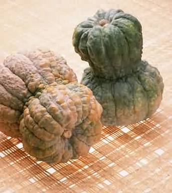 ����Ӧ�óԵ�Ӫ������ζ�Ϲϲ�