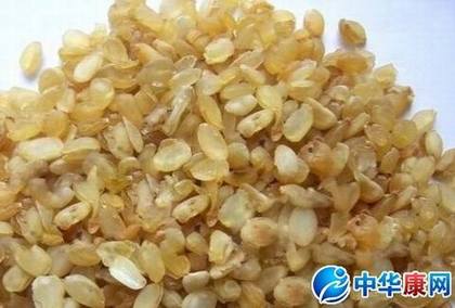 ��ɽѩ����