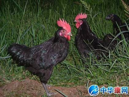 �����ڼ�