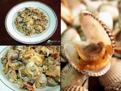 [����]����Ѫ�������(�㶫����)