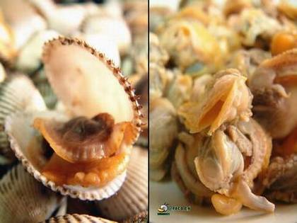 [����]����Ѫ�������(�㶫����)