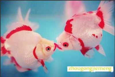 �μ�����