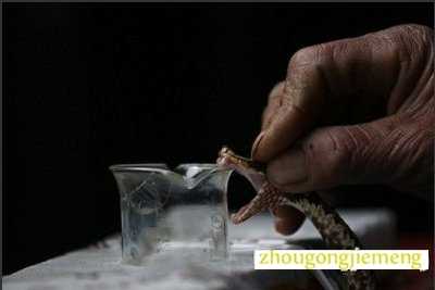 �μ����˳���