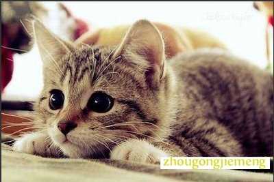 �μ���èҧ