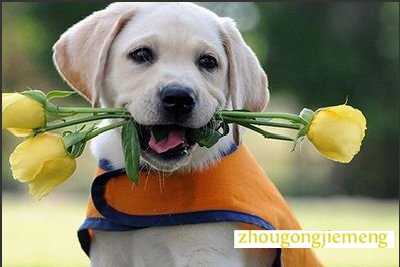 �μ�����ҧ