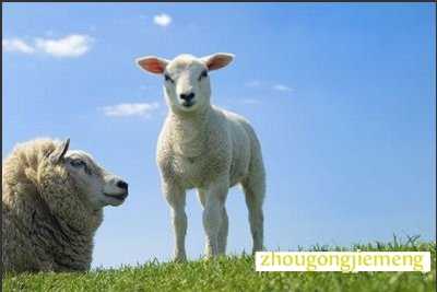 �μ�����