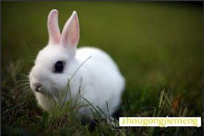 �μ�����