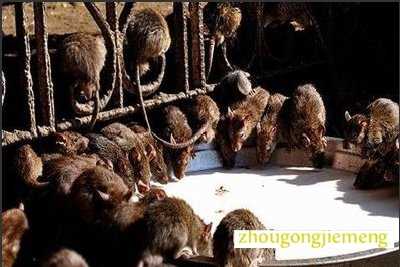 �μ����� ����