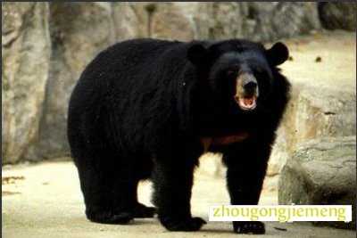 �μ�����