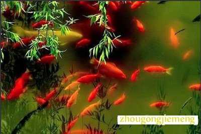 �μ�����