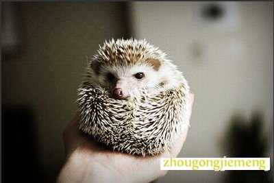 �μ���� ����