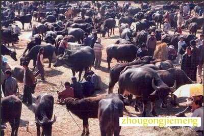 �μ�����