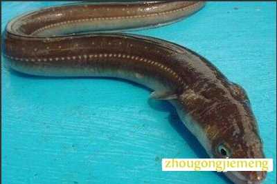 �μ�����