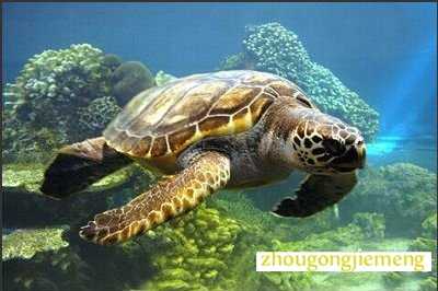 �μ�����