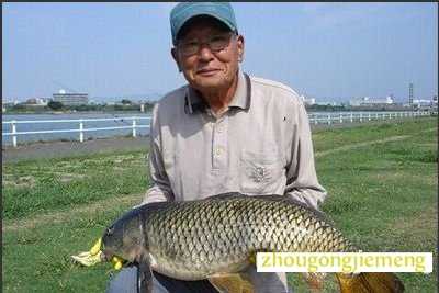 �μ�����