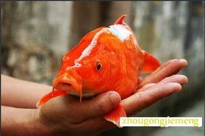 �μ�������