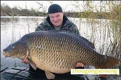 �μ�����