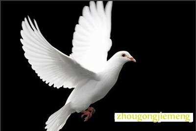 �μ�����