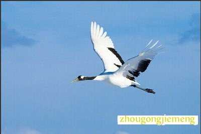 �μ��� �ɺ�