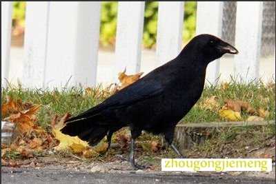 �μ���ѻ ��ȵ