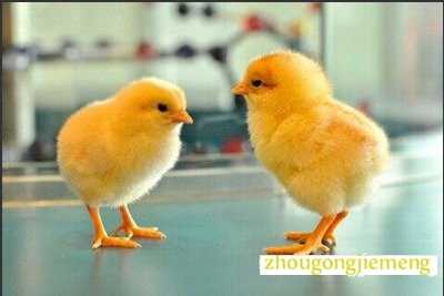 �μ����� С��