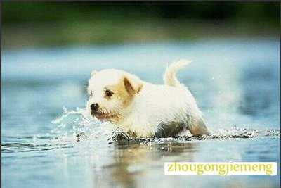 �μ�С����