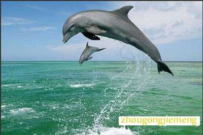 �μ�����