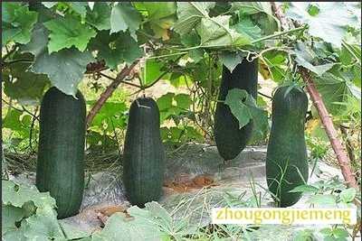 �μ�����