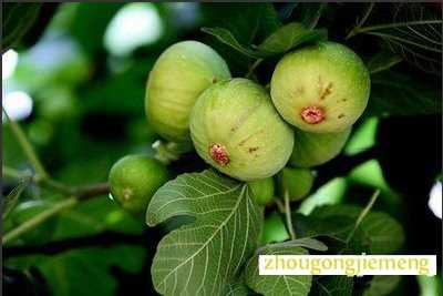 �μ��޻���