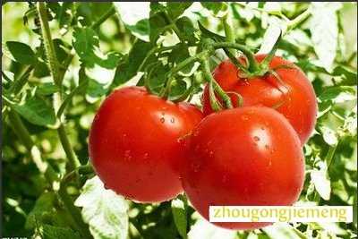 �μ�������