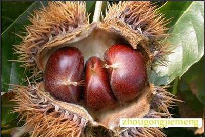 �μ����� ����