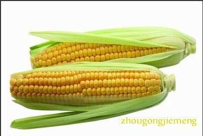 �μ����� ����