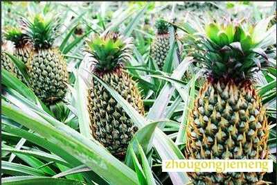 �μ�����