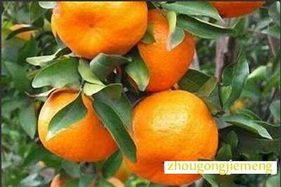 �μ�����