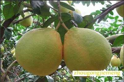 �μ�����