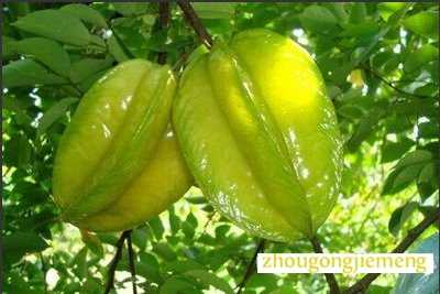 �μ�����