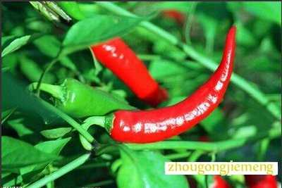 �μ�����