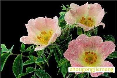 �μ�ҰǾޱ