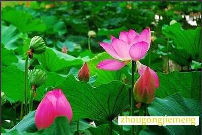 �μ�����