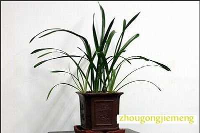 �μ�����