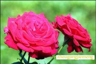 �μ��¼���