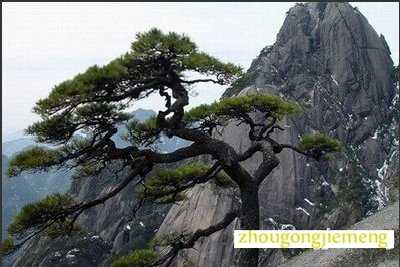 �μ�����