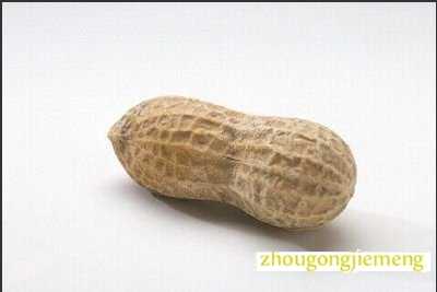 �μ�����