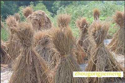 �μ�����