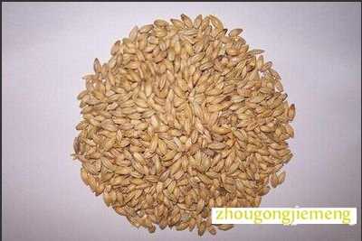 �μ�����