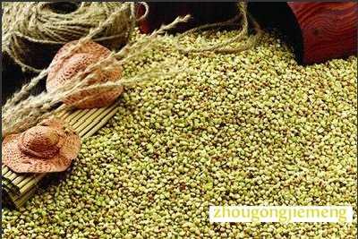 �μ����� ����