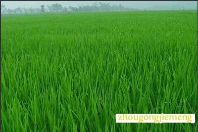 �μ�����