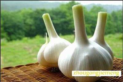 �μ�����